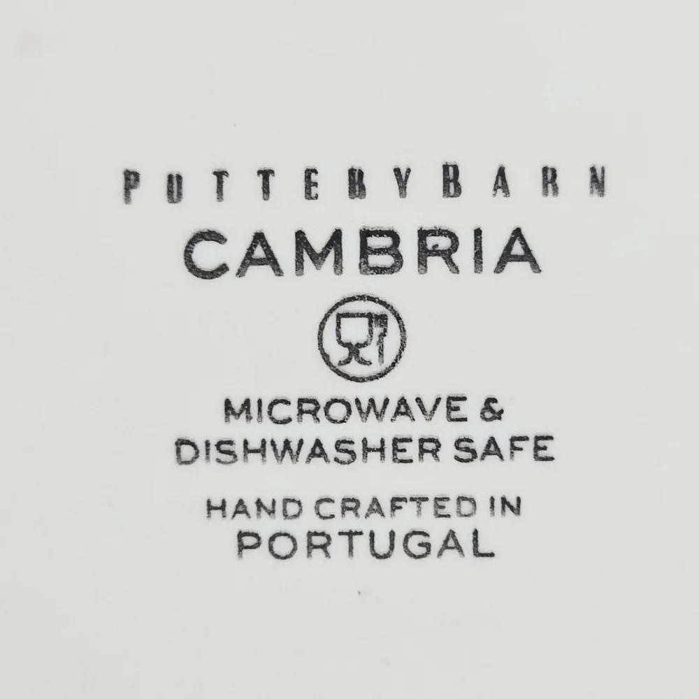 Pottery Barn Cambria Stone (2) Dinner Plates Handcrafted Rustic Trim White 10.7